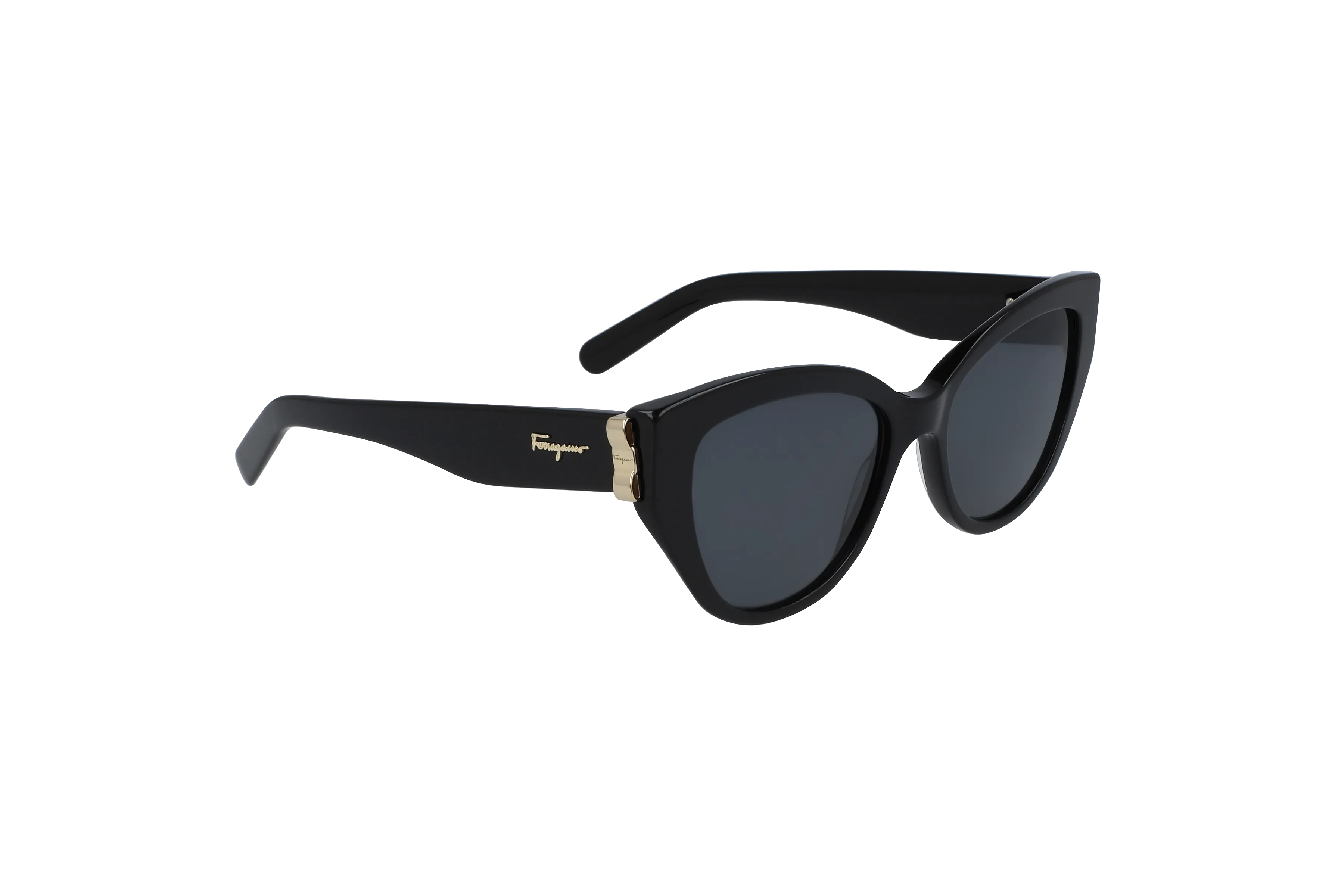 FERRAGAMO Sunglasses - SF969S (001)