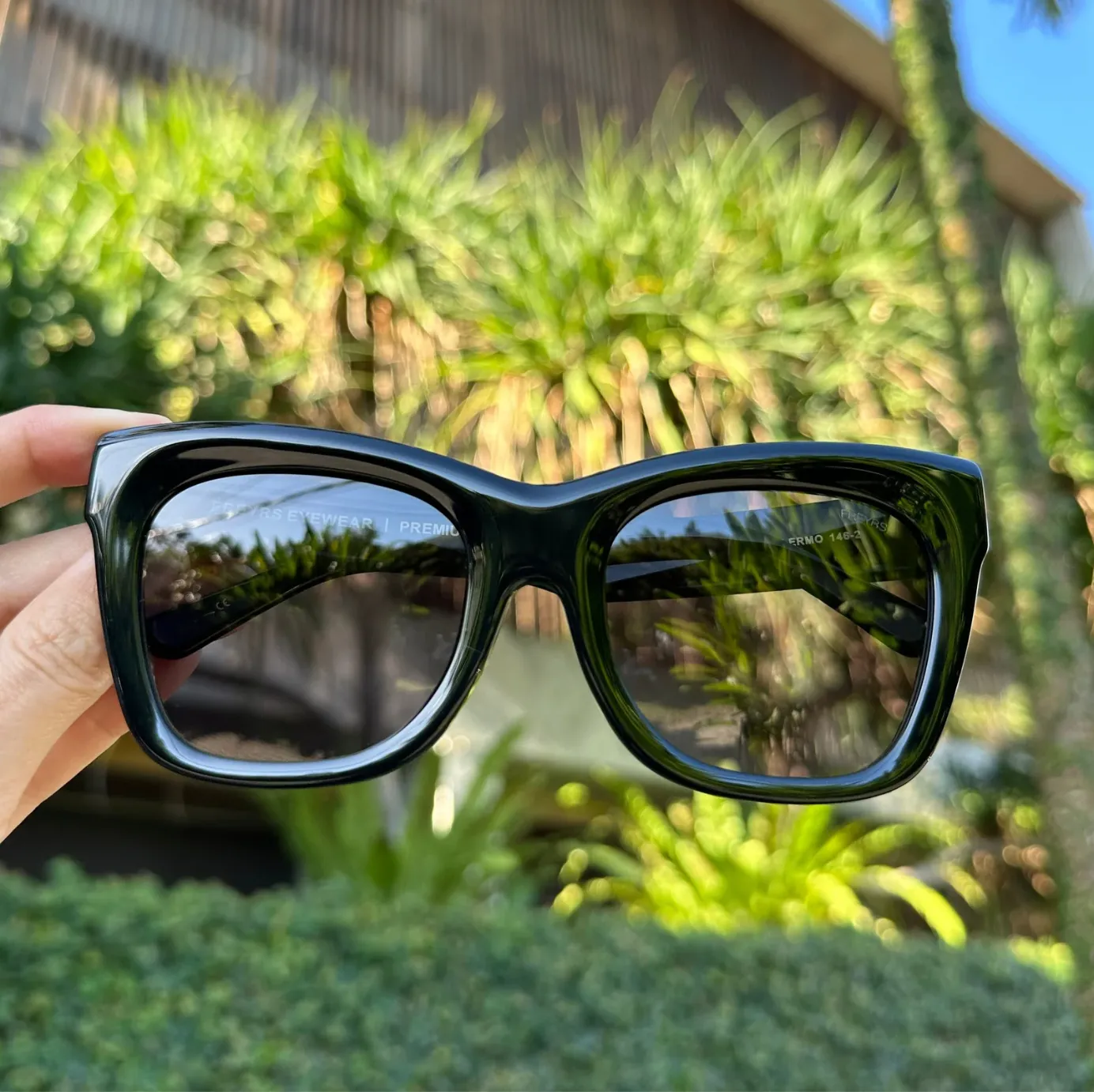 palermo freyrs sunglasses