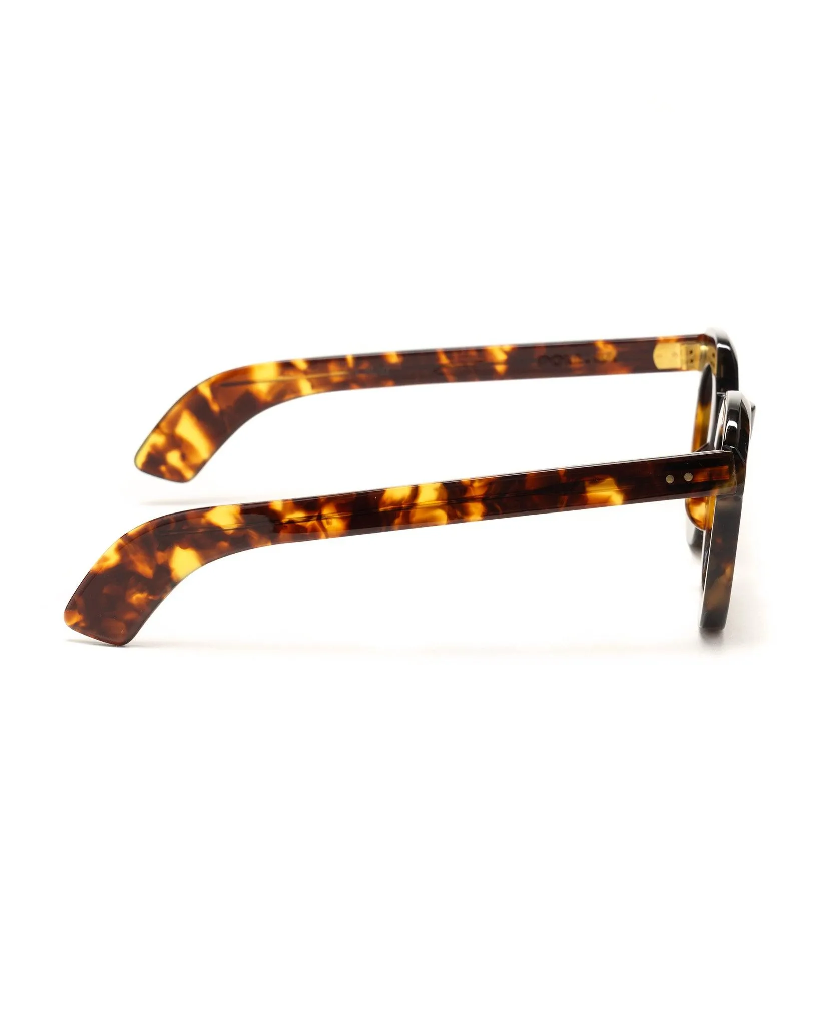 Politician 44/28 Eye Glasses Dark Tort / Sun