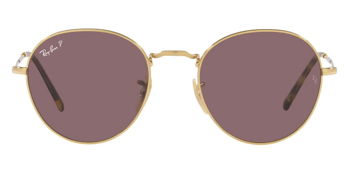 Ray-Ban® David RB3582