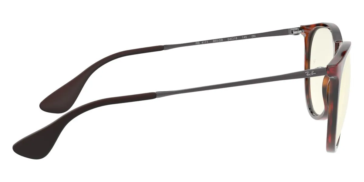 Ray-Ban® Erika RB4171