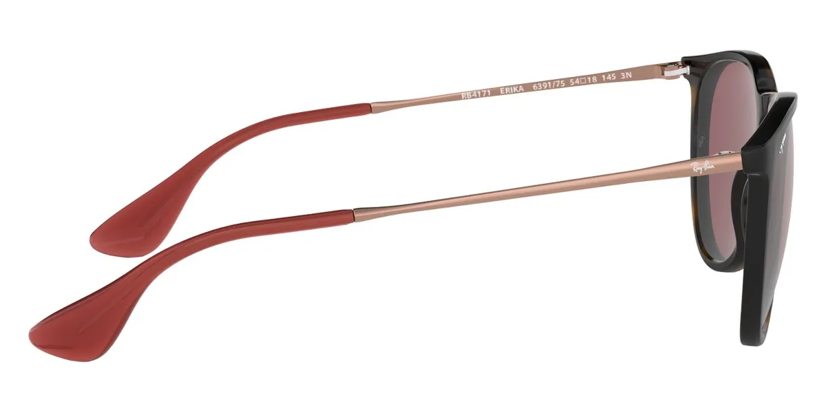 Ray-Ban® Erika RB4171