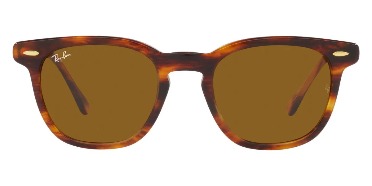 Ray-Ban® Hawkeye RB2298F