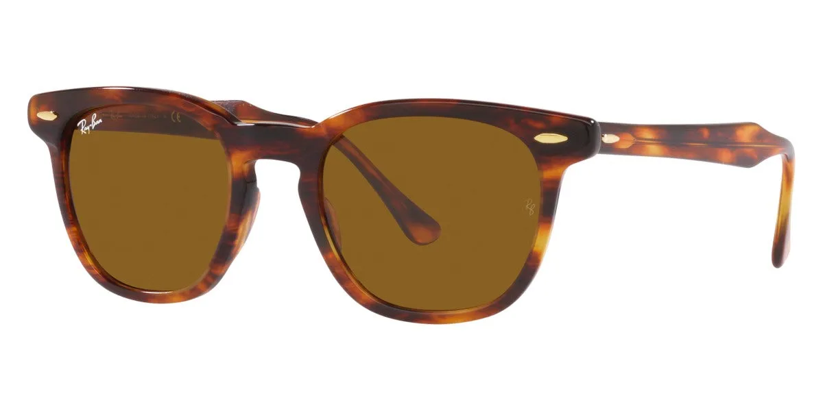 Ray-Ban® Hawkeye RB2298F