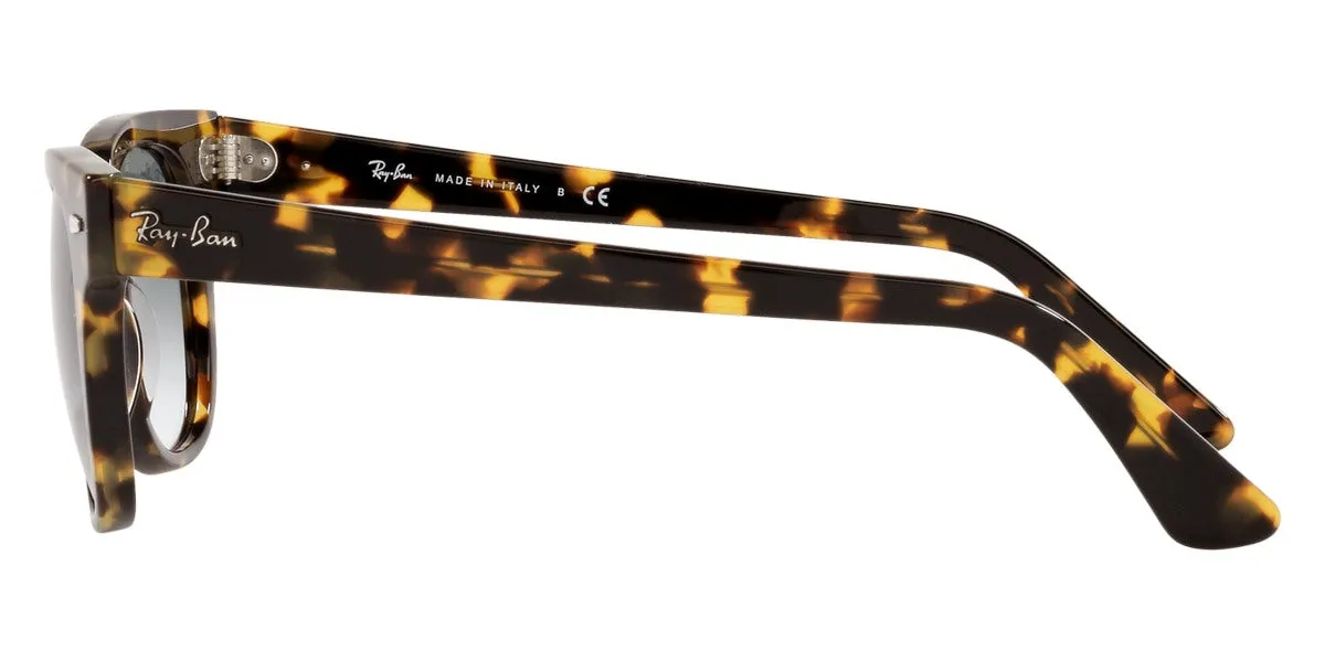 Ray-Ban® Meteor RB2168