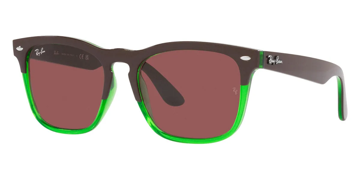 Ray-Ban® Steve RB4487