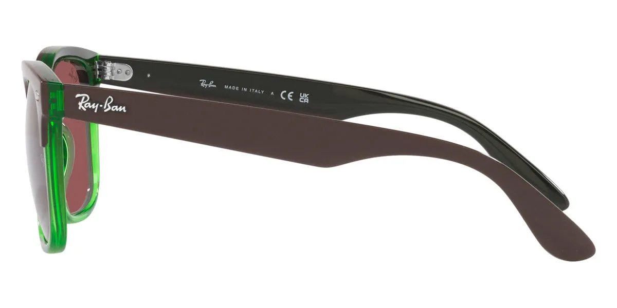 Ray-Ban® Steve RB4487