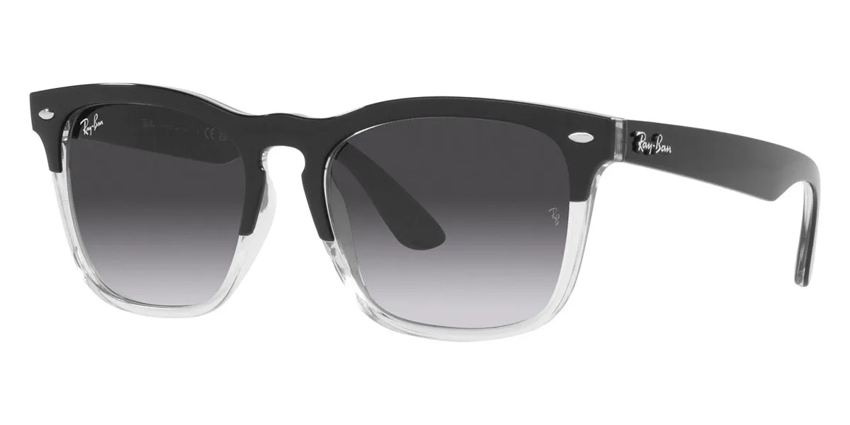 Ray-Ban® Steve RB4487