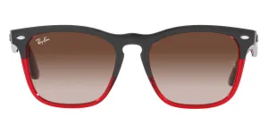 Ray-Ban® Steve RB4487