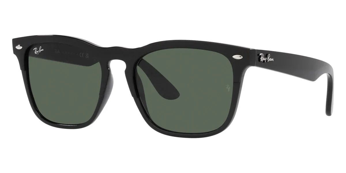 Ray-Ban® Steve RB4487