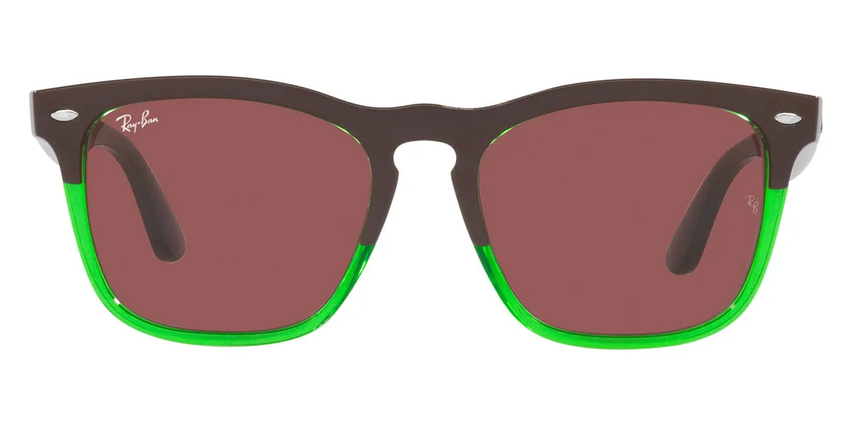 Ray-Ban® Steve RB4487