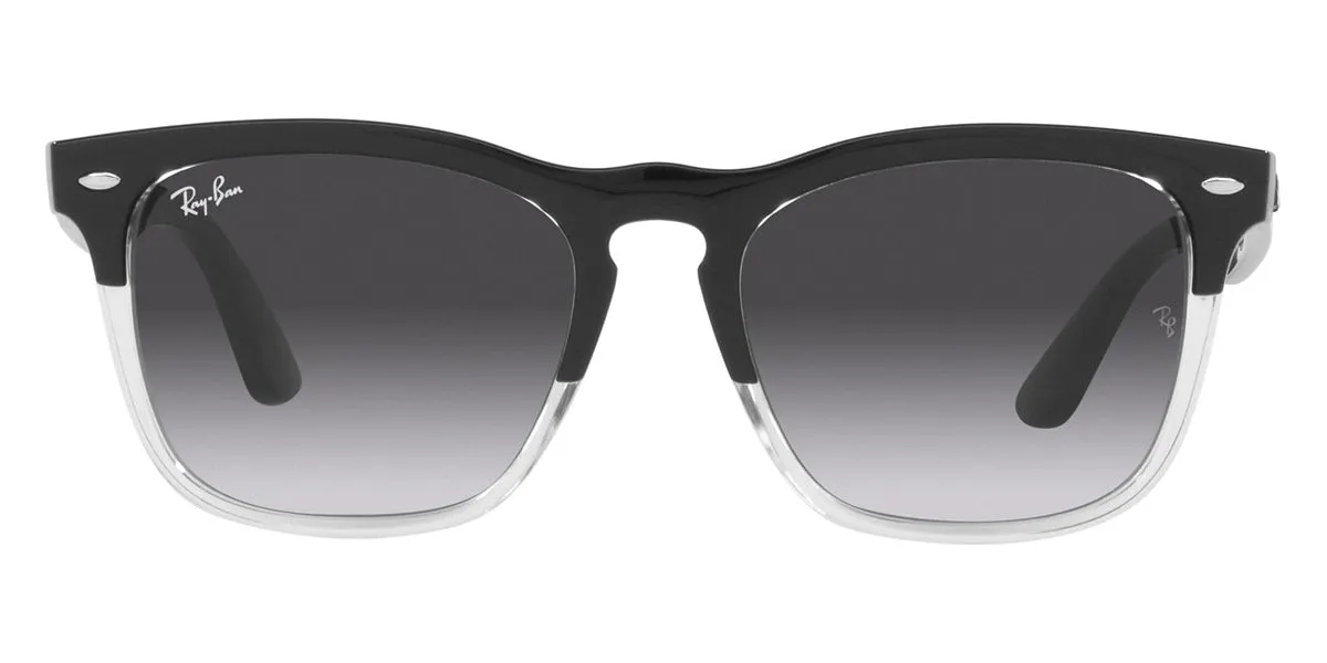 Ray-Ban® Steve RB4487