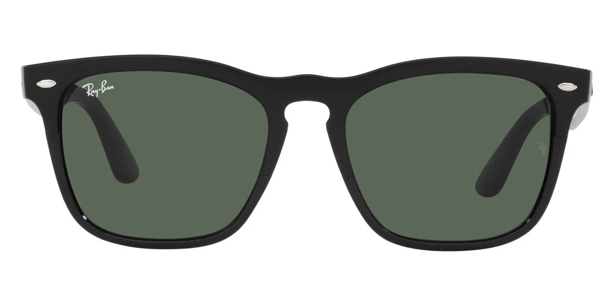 Ray-Ban® Steve RB4487