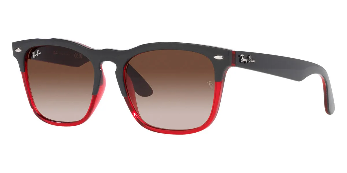 Ray-Ban® Steve RB4487