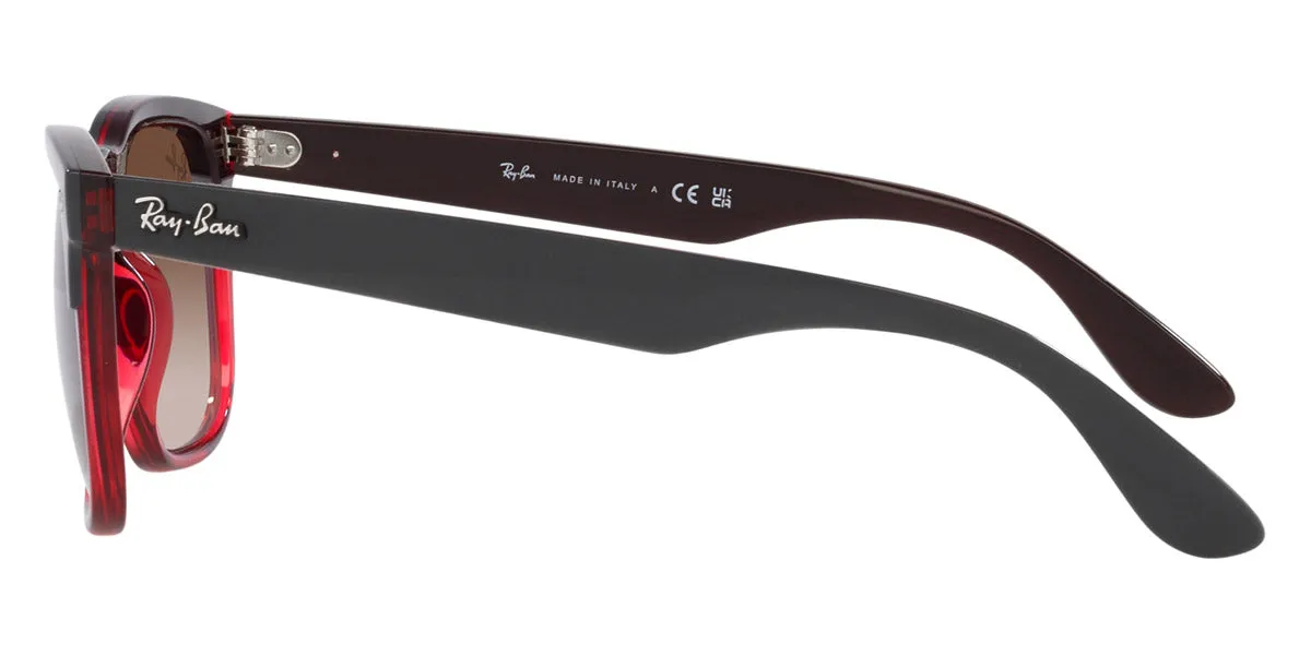 Ray-Ban® Steve RB4487