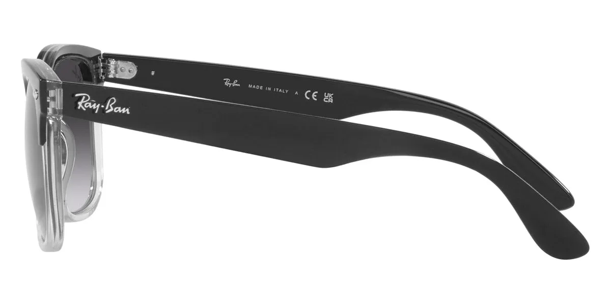 Ray-Ban® Steve RB4487