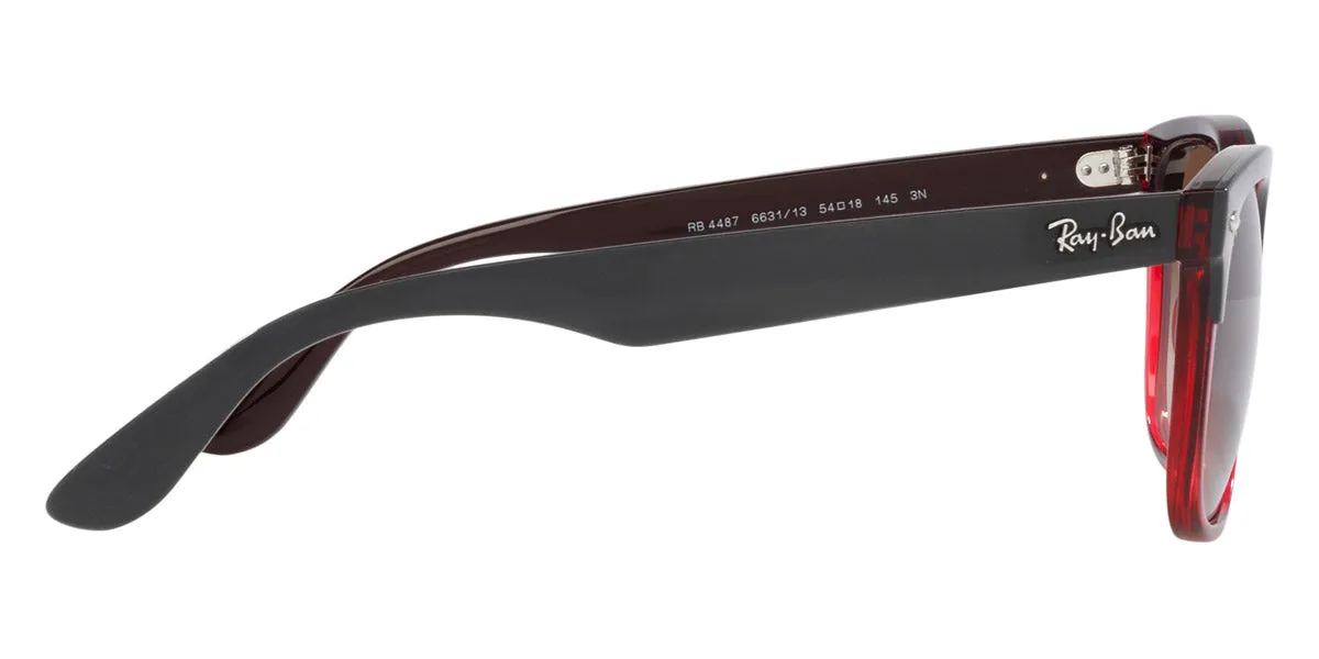 Ray-Ban® Steve RB4487