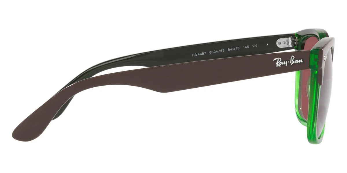 Ray-Ban® Steve RB4487