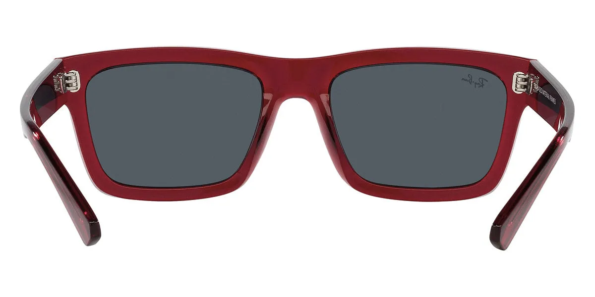 Ray-Ban® Warren RB4396