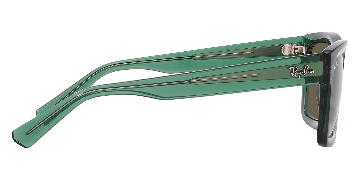Ray-Ban® Warren RB4396