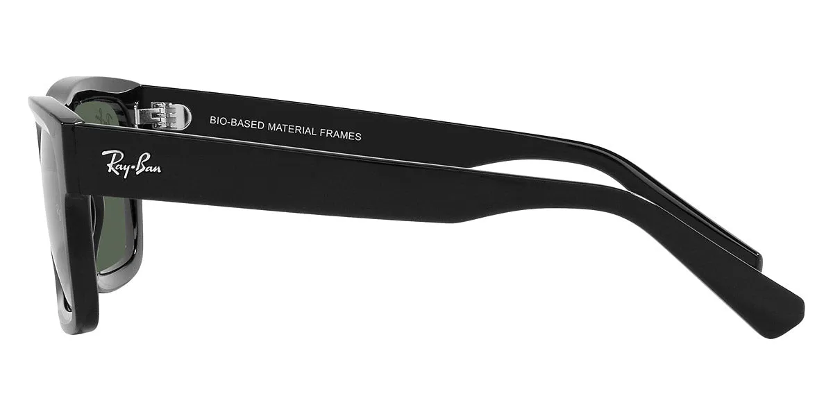 Ray-Ban® Warren RB4396
