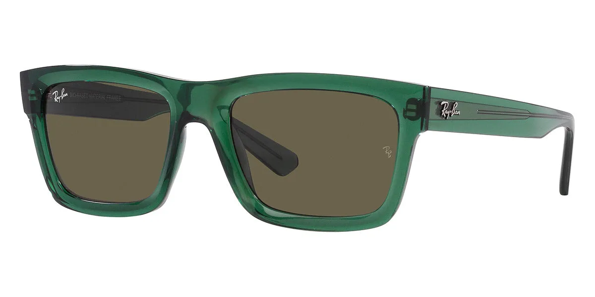Ray-Ban® Warren RB4396