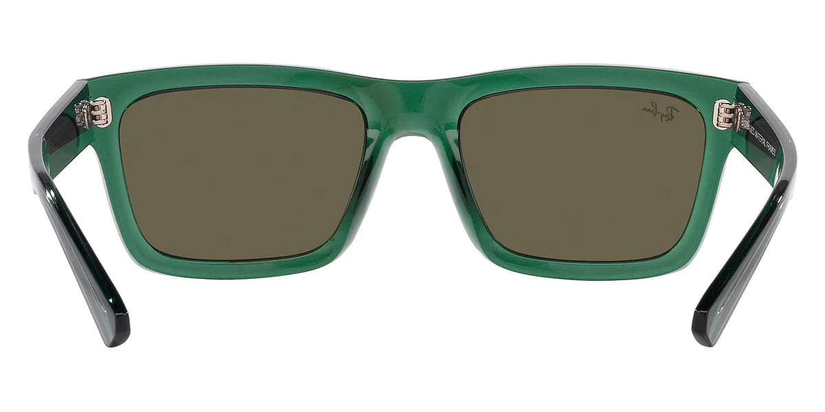Ray-Ban® Warren RB4396